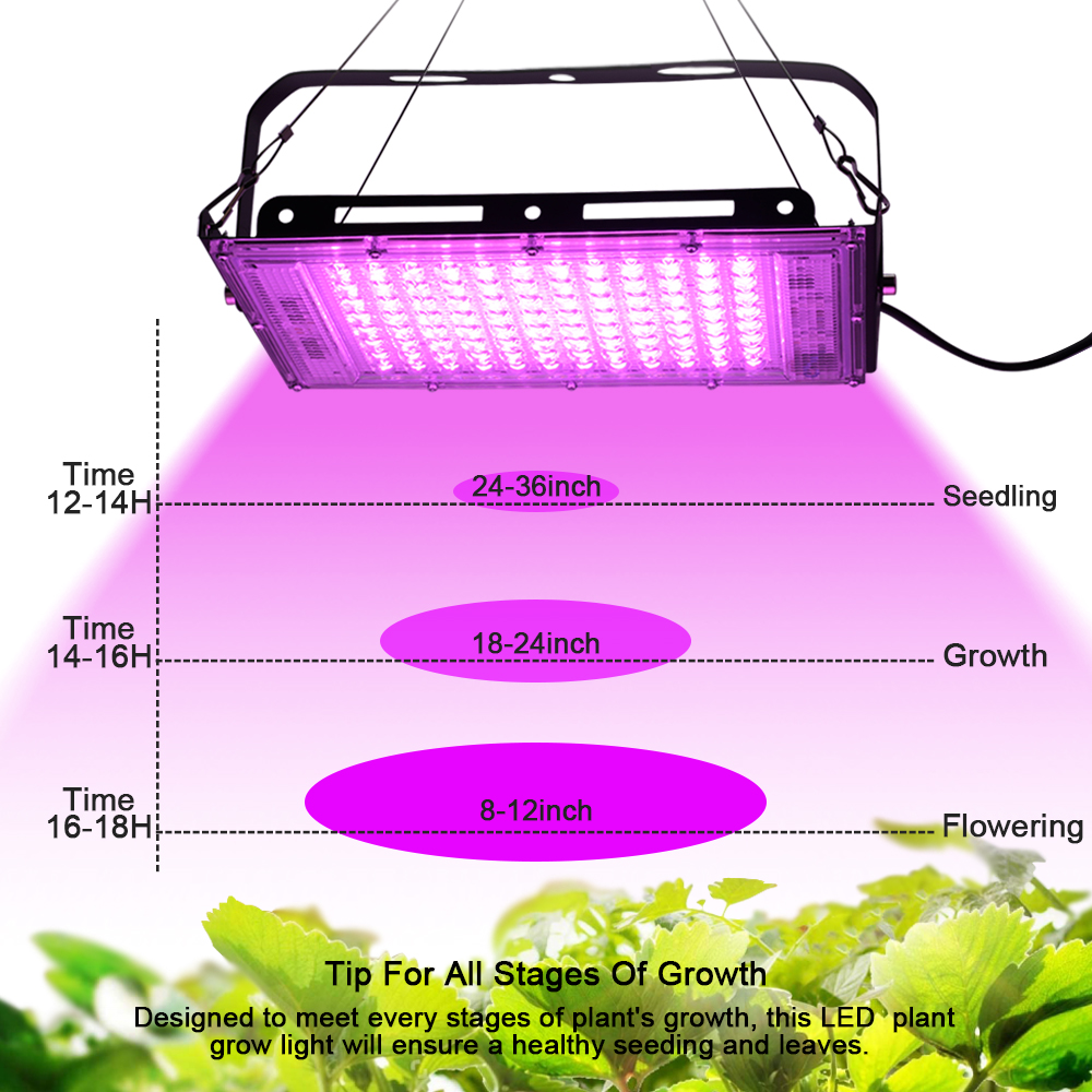 Full Spectrum LED Grow Light P - Outdoor Lighting Transformer のレビューと価格